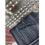 2024年12月9日秋冬高級N品新品 ディオールダウンジャケットベスト  520工場