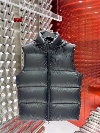 2024年12月9日秋冬高級N品新品 バーバリーダウンジャケ...