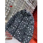 2024年12月9日秋冬高級N品新品 ルイヴィトンダウンジャケット 520工場