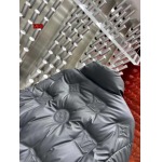 2024年12月9日秋冬高級N品新品 ルイヴィトンダウンジャケット 520工場