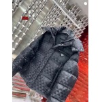 2024年12月9日秋冬高級N品新品 PRADA ダウンジャケット 520工場