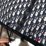 2024年12月10日秋冬人気 ディオールダウンジャケット123工場