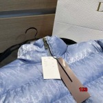 秋冬人気 ディオールダウンジャケット123工場