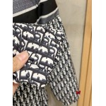 2024年12月10日秋冬高品質ディオール綿入れの服ジャケットアウター bf工場