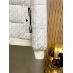 2024年12月11日秋冬高品質FENDI  ダウンジャケットアウター bf工場