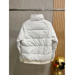 2024年12月11日秋冬高品質FENDI  ダウンジャケットアウター bf工場