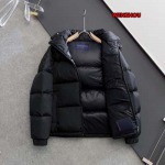 2024年12月24日秋冬新品ルイヴィトンダウンジャケットアウター  wenzh工場