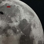 2024年12月24日秋冬高品質新品入荷LOEWE  半袖 Tシャツ NICE工場