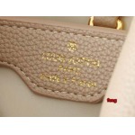 2024年12月24日秋冬新品入荷ルイヴィトン ブランドバッグ zhong工場