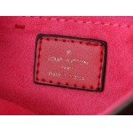 2024年12月25日秋冬新品入荷ルイヴィトン ブランドバッグ feng工場