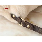 2024年12月25日秋冬新品入荷ルイヴィトン ブランドバッグ feng工場