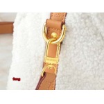 2024年12月25日秋冬新品入荷ルイヴィトン ブランドバッグ feng工場