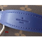 2024年12月25日秋冬新品入荷ルイヴィトン ブランドバッグ feng工場