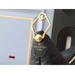 2024年12月25日秋冬新品入荷ルイヴィトン ブランドバッグ feng工場