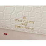 2024年12月25日秋冬新品入荷ルイヴィトン ブランドバッグ feng工場