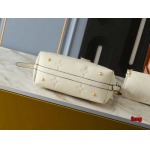 2024年12月25日秋冬新品入荷ルイヴィトン ブランドバッグ feng工場