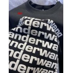 2024年12月26日入荷秋冬新品 AIexander Wangスウェット dtai工場