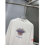 2024年12月26日入荷秋冬新品 ディオール 長袖 Tシャツdtai工場