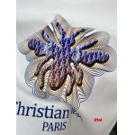 2024年12月26日入荷秋冬新品 ディオール 長袖 Tシャツdtai工場