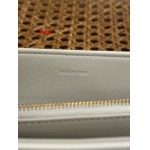 2025年早春新品入荷 CELINE  本革 バッグ lexun工場20-8-14cm