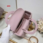 2025年早春新品入荷ディオール人気 バッグANN工場