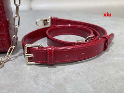 2025年早春高品質新品入荷 ディオール バッグ xiu工場