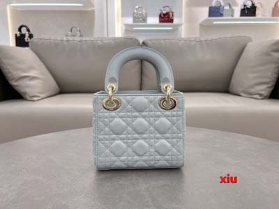 2025年早春高品質新品入荷 ディオール バッグ xiu工場