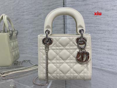 2025年早春高品質新品入荷 ディオール バッグ xiu工場