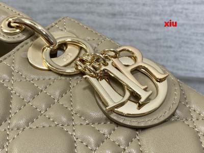 2025年早春高品質新品入荷 ディオール バッグ xiu工場