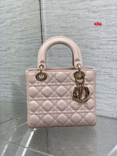 2025年早春高品質新品入荷 ディオール バッグ xiu工場