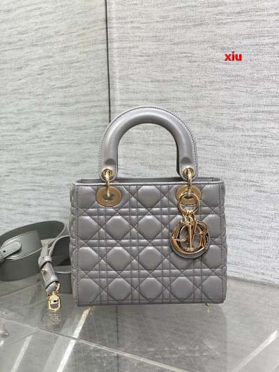 2025年早春高品質新品入荷 ディオール バッグ xiu工場