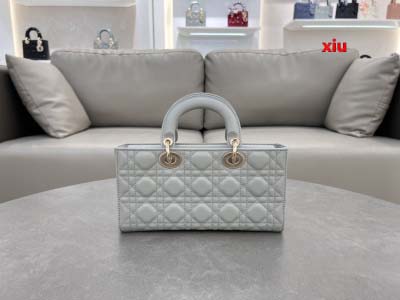 2025年早春高品質新品入荷 ディオール バッグ xiu工場