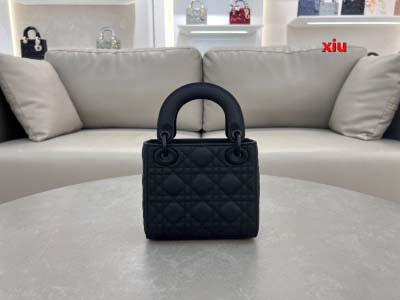 2025年早春高品質新品入荷 ディオール バッグ xiu工場
