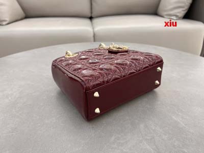 2025年早春高品質新品入荷 ディオール バッグ xiu工場