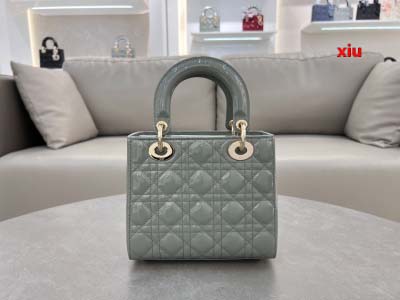 2025年早春高品質新品入荷 ディオール バッグ xiu工場