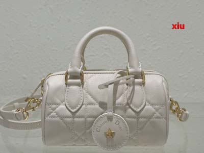 2025年早春高品質新品入荷 ディオール バッグ xiu工場