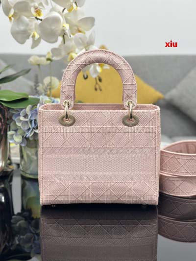 2025年早春高品質新品入荷 ディオール バッグ xiu工場