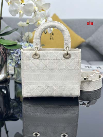 2025年早春高品質新品入荷 ディオール バッグ xiu工場