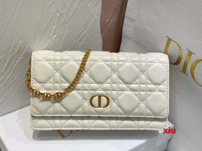 2025年早春高品質新品入荷 ディオール バッグ xiu工場