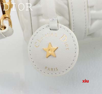 2025年早春高品質新品入荷 ディオール バッグ xiu工場
