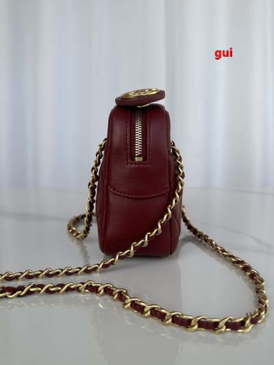 2025年早春人気新品入荷シャネル バッグ gui工場