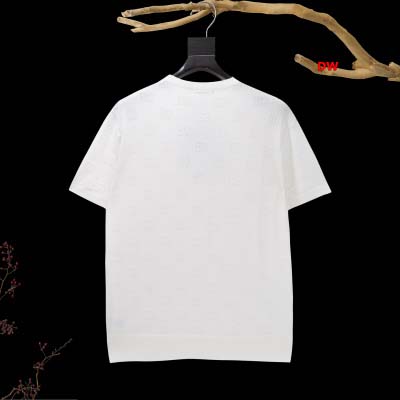 2025年1月20日春夏新品入荷Dolce&Gabbana  半袖 TシャツDW工場