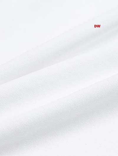 2025年1月20日春夏新品入荷 FENDI  半袖 Tシャツ DW工場