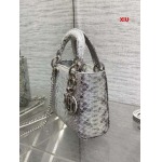 2025年早春高品質新品入荷 ディオールヘビ革 バッグ XIU工場