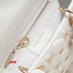 2025年早春新品入荷 ディオール バッグ ann工場