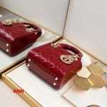 2025年早春新品入荷 ディオール バッグ ann工場