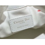 2025年早春高品質新品入荷 ディオール バッグ xiu工場