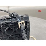 2025年早春高品質新品入荷 ディオール バッグ xiu工場