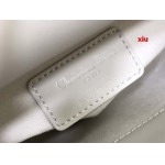 2025年早春高品質新品入荷 ディオール バッグ xiu工場