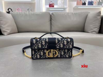 2025年早春高品質新品入荷 ディオール バッグ xiu工場